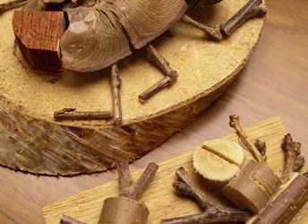 森の体験館の写真1