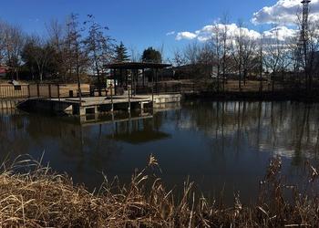 桑袋ビオトープ公園の写真1