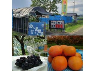 信ちゃん果樹園の写真1