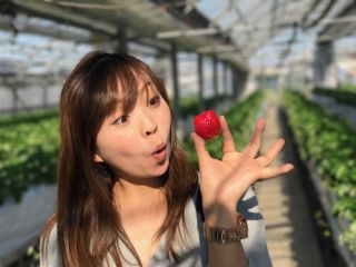 池いちご園の写真1