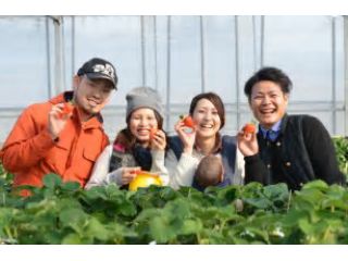 よかもんいちごの写真1