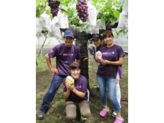 鳥越ぶどう園の写真1