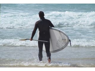 Boarder's Pro Shop BACKBONEの写真1