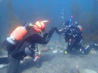 ダイビングスクールWITH北九州の写真1