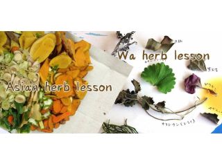 YouFarmHerb畑の写真1