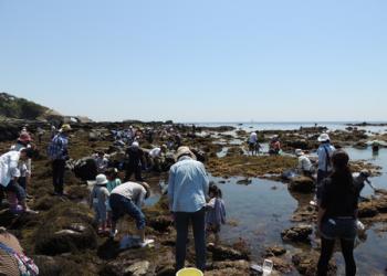 三浦半島城ヶ島海岸の写真1