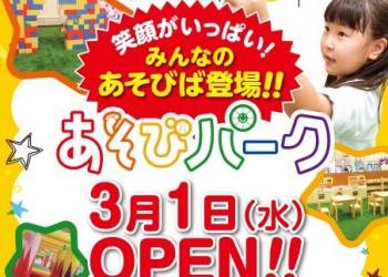 あそびパーク(フジグラン松山店)の写真1