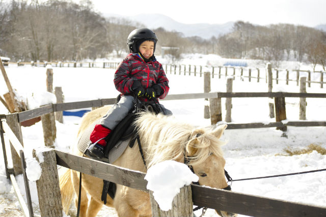 大沼流山牧場パドミュゼの写真1