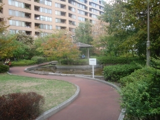 桜川屋上公園の写真1