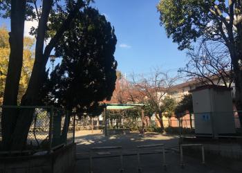 本一色東児童遊園の写真1