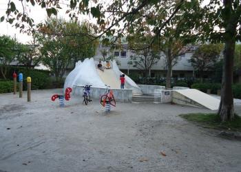 本一色マロニエ公園の写真1