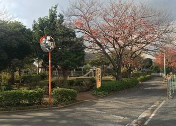 本一色三丁目公園の写真1