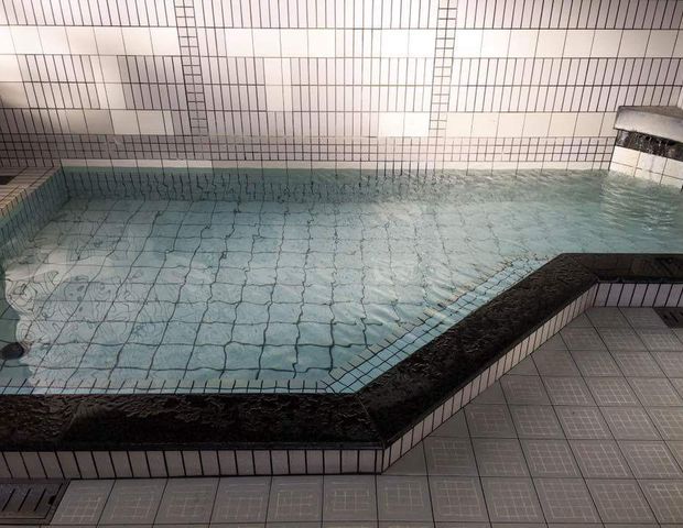 野田の元湯の写真1