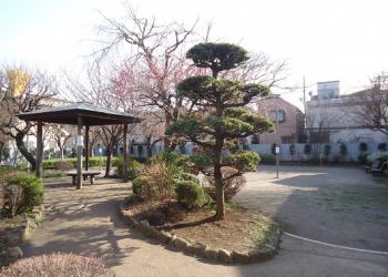 大井鹿島公園の写真1