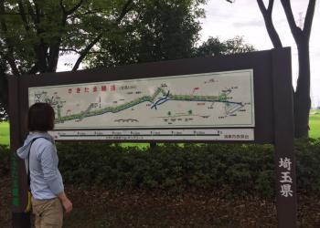 さきたま緑道・花の里緑道の写真1