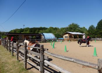 立願寺ポニー公園の写真1