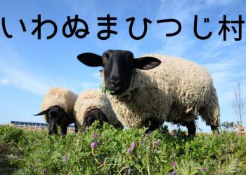 いわぬまひつじ村の写真1