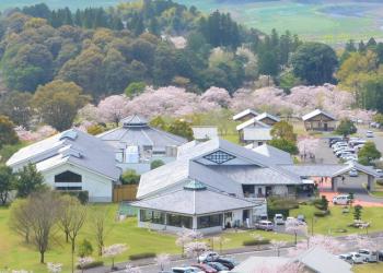 観音さくらの里の写真1