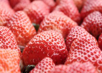 アクトいちごファームの写真1