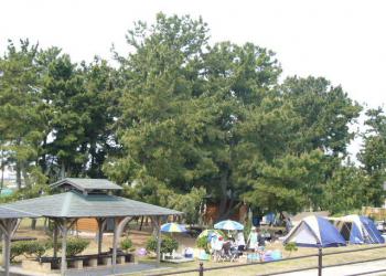 大淀ふれあいキャンプ場の写真1