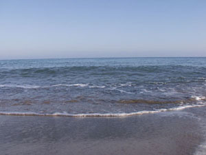 海の家　とりいの写真1