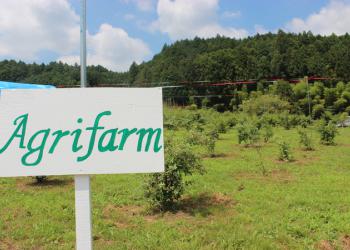 アグリファームの写真1