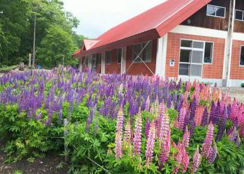 帯広市岩内自然の村の写真1