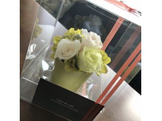 リーリオドヴァレの写真1