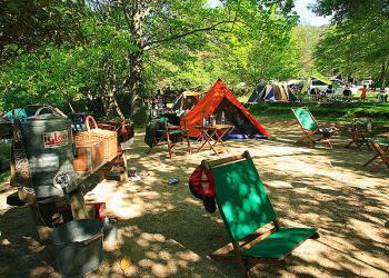 自然の森ファミリーオートキャンプ場の写真1