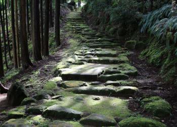 波田須の道の写真1