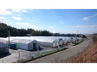 おいしませファームの写真1