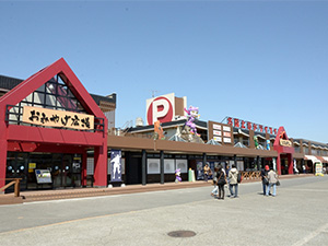 名阪上野　忍者ドライブインの写真1