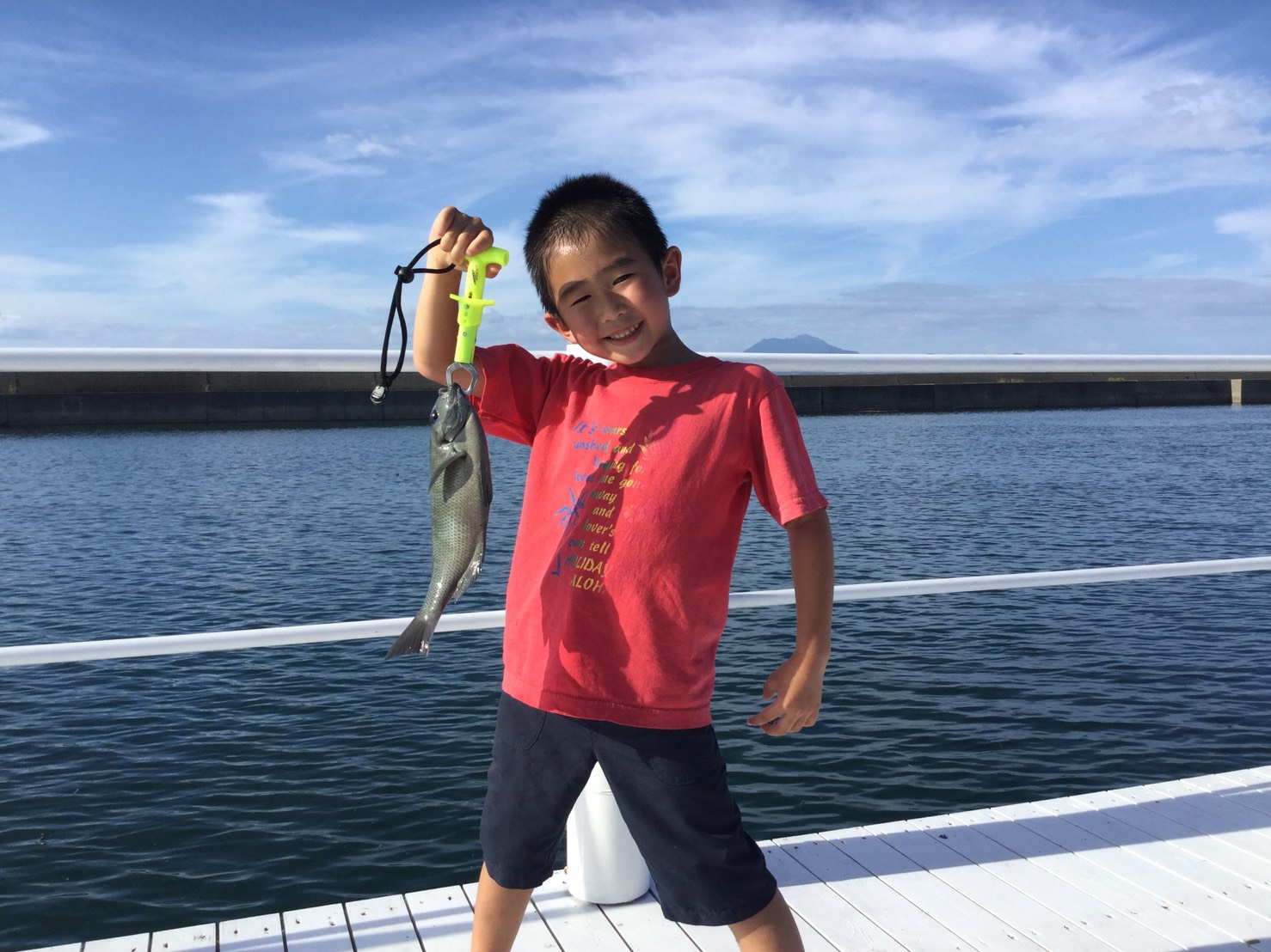 天草観光イルカウォッチング案内所　ドルフィンクルーズの写真1