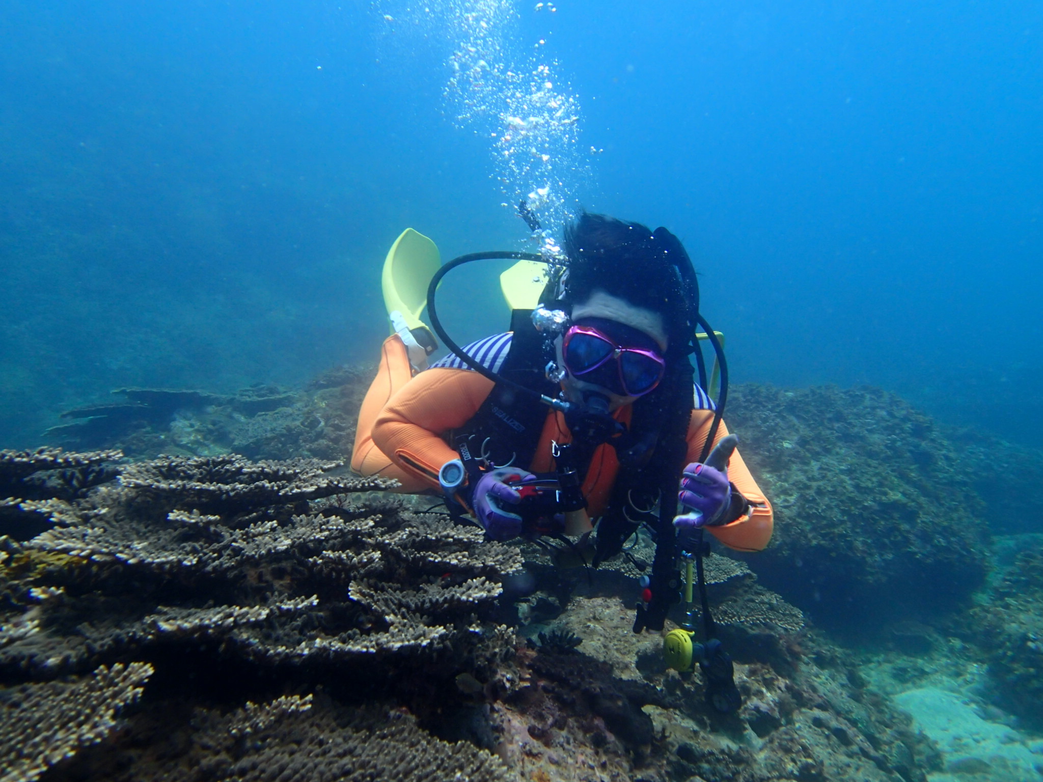 ブルーアース21熊本の写真1