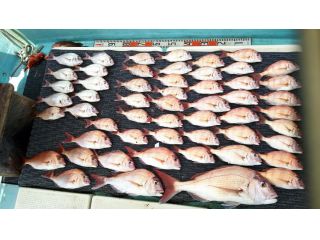 遊漁船幸福丸の写真1