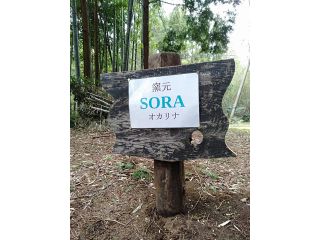 窯元　天の写真1