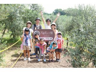 天草オリーブ園 AVILOの写真1