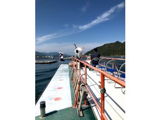 宮島遊覧観光の写真1