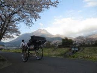 人力車えびす屋湯布院の写真1