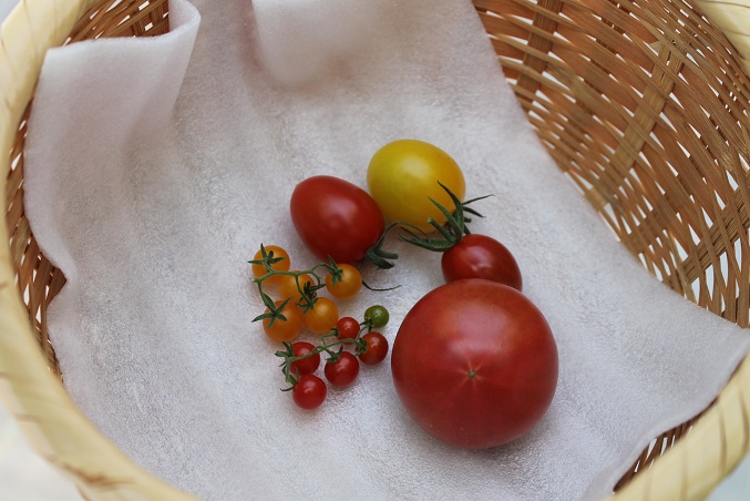 観光農園トマトファームの写真1