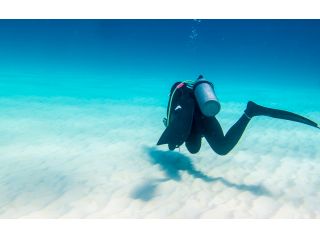 大分ダイビングサービス　SEDNAの写真1