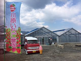 川原いちご農園の写真1