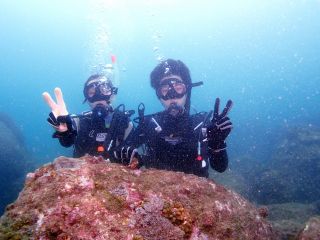 DIVINGSCHOOL&PROSHOP　GREETDIVERS　グリートダイバーズの写真1