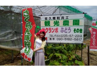 佐久間利兵エ観光農園の写真1