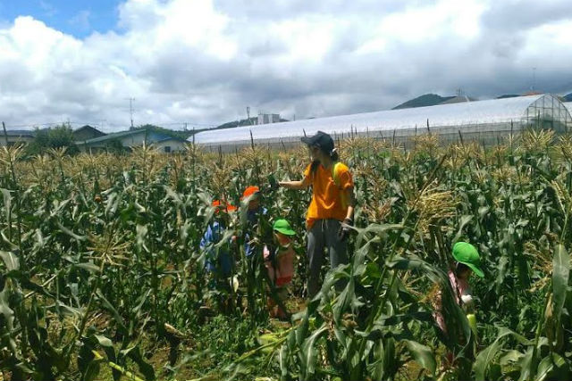 秦野いとう農園の写真1