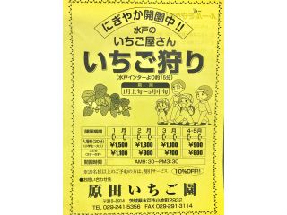 原田いちご園の写真1