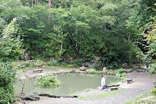 釜房渓流つりの写真1