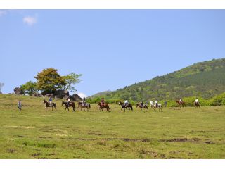 霧島アート牧場の写真1