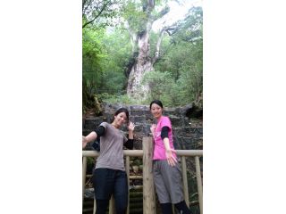 屋久島トレッキングガイドこだまの写真1