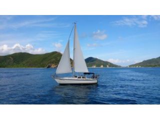 奄美ダイビングスクールの写真1